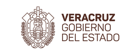brands gobierno_edo_veracruz.png