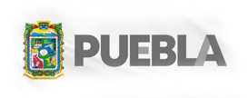 brands puebla.png